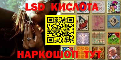 спиды Донской