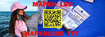 спиды Донской