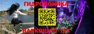 сатива Донецк
