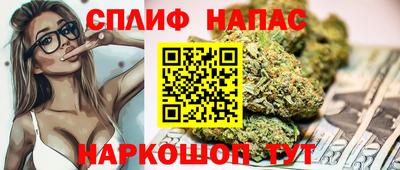 спиды Донской